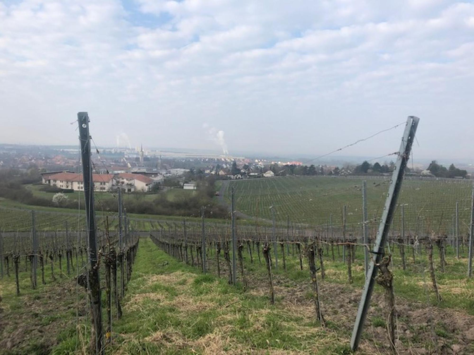 Ferienwohnung Weinberg Markt Einersheim Exteriör bild