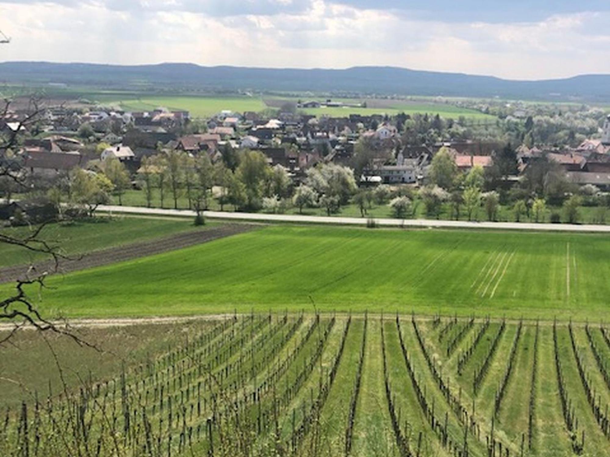 Ferienwohnung Weinberg Markt Einersheim Exteriör bild